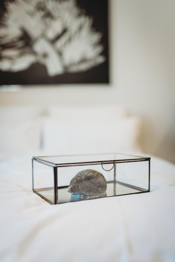Romantic Jump Studio Overlooking River, Free Parking Liubliana Exterior foto